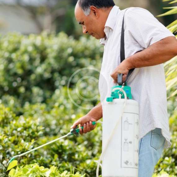 weed control service, Phoenix, AZ