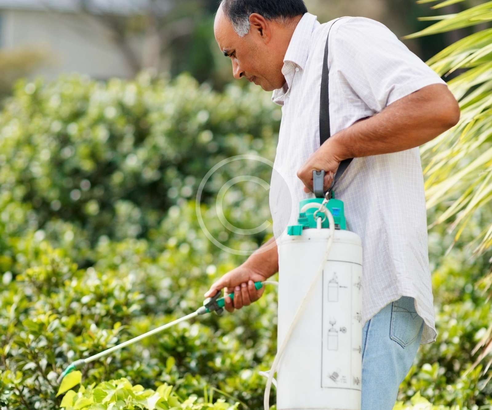 weed control service, Phoenix, AZ